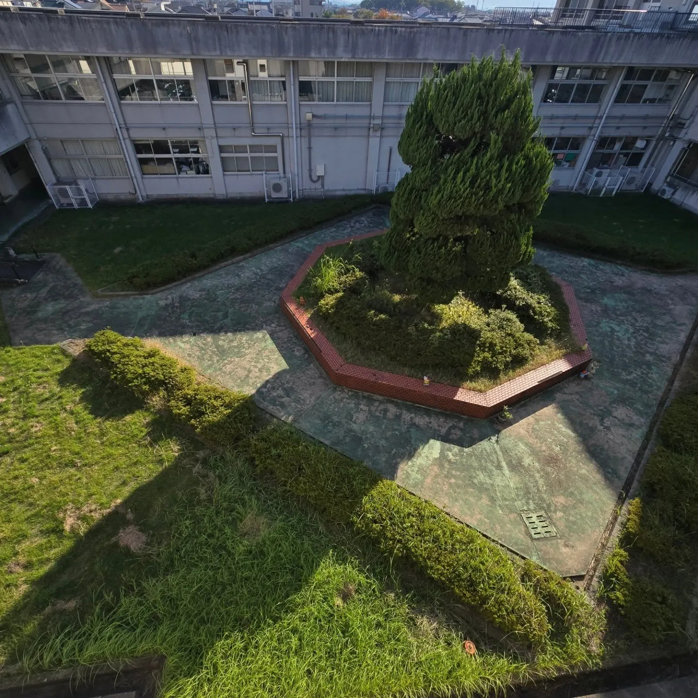 母校に掲示板を寄贈❗