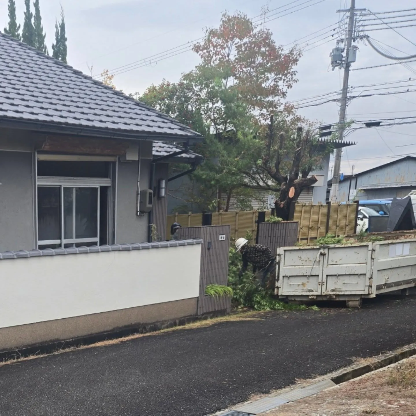 新たな分譲用地に変身させます❗