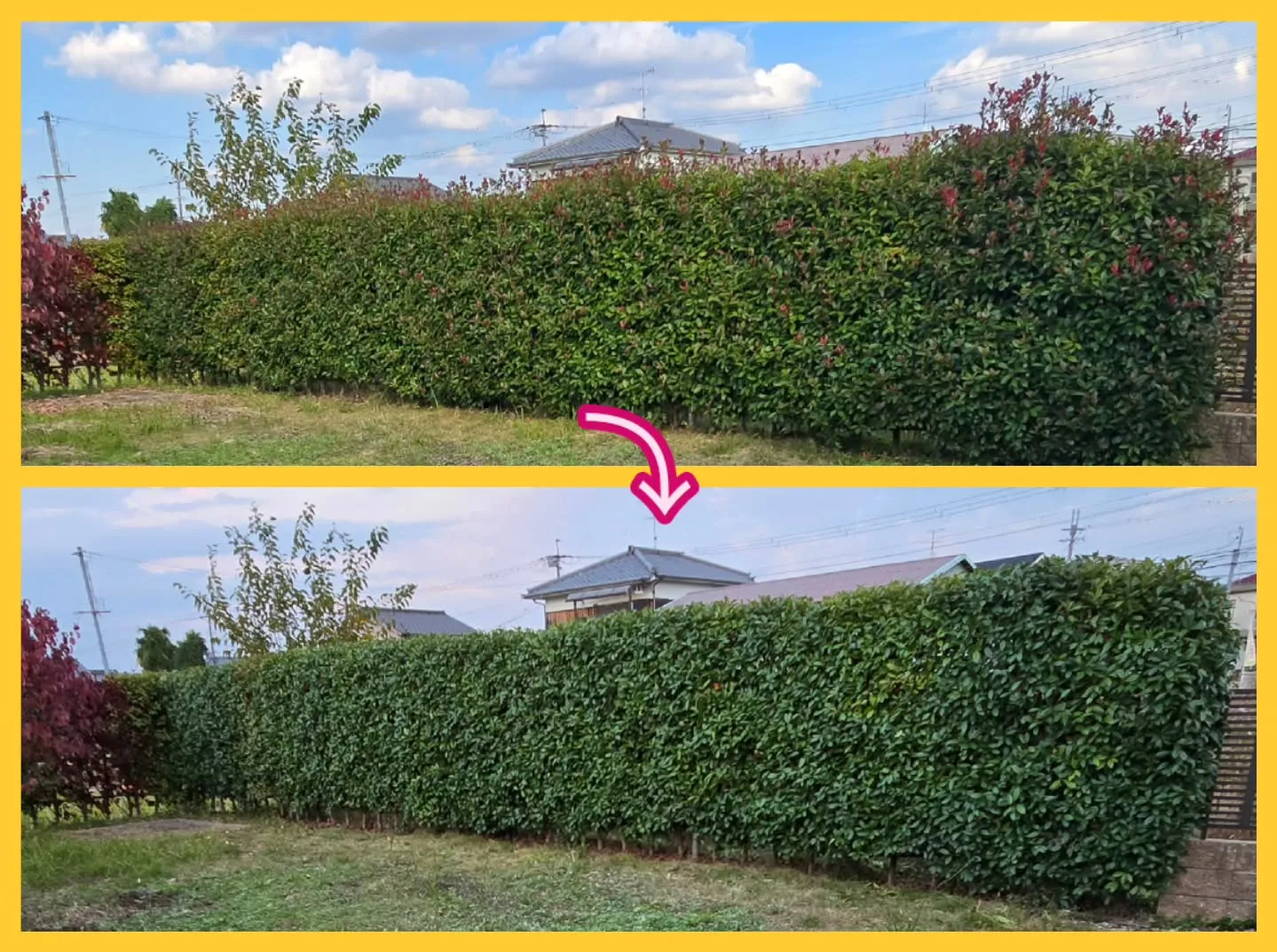 本日は『植木屋さん』❗