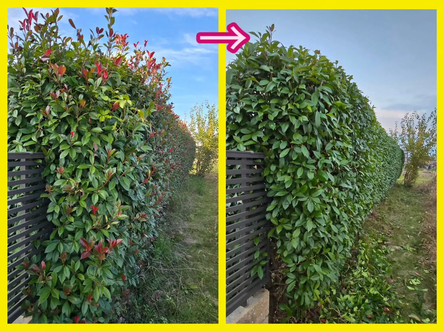 本日は『植木屋さん』❗