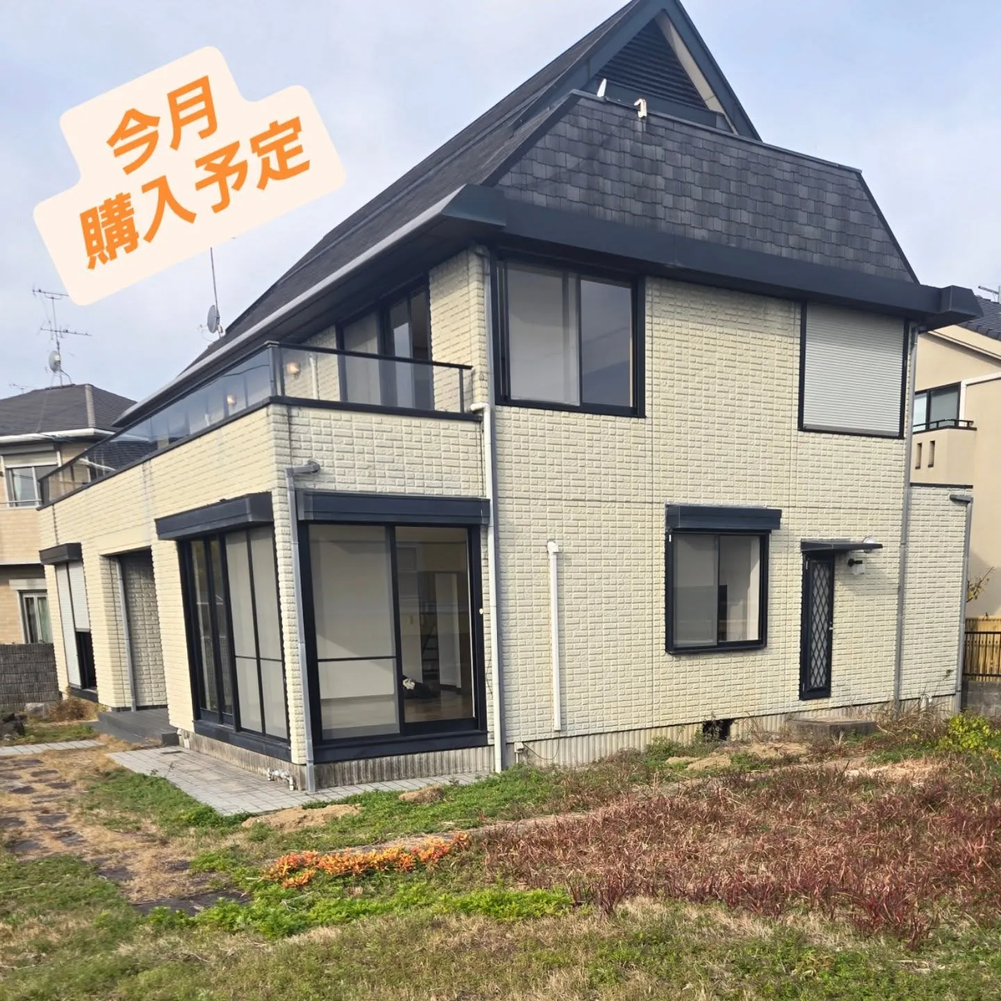 販売方法思案中❗