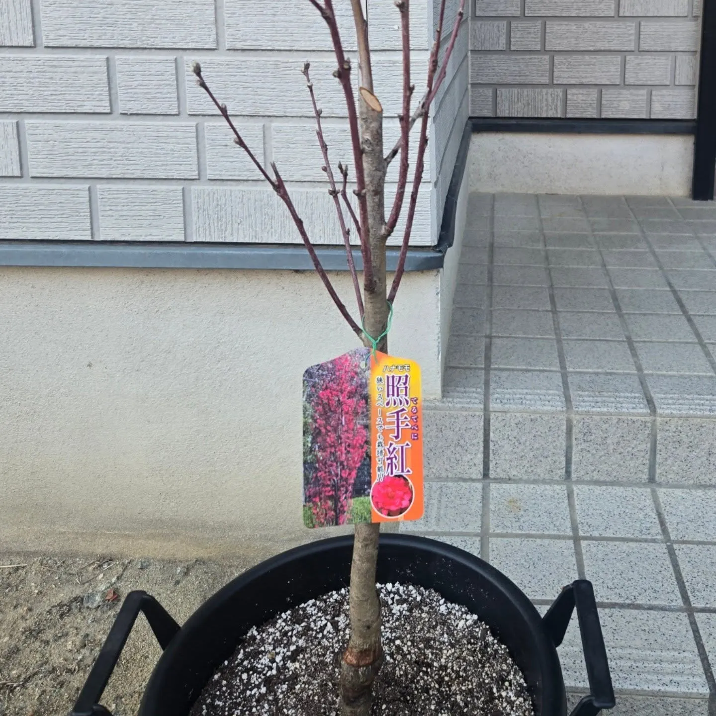 68年に一度の“スーパー開運日”❗