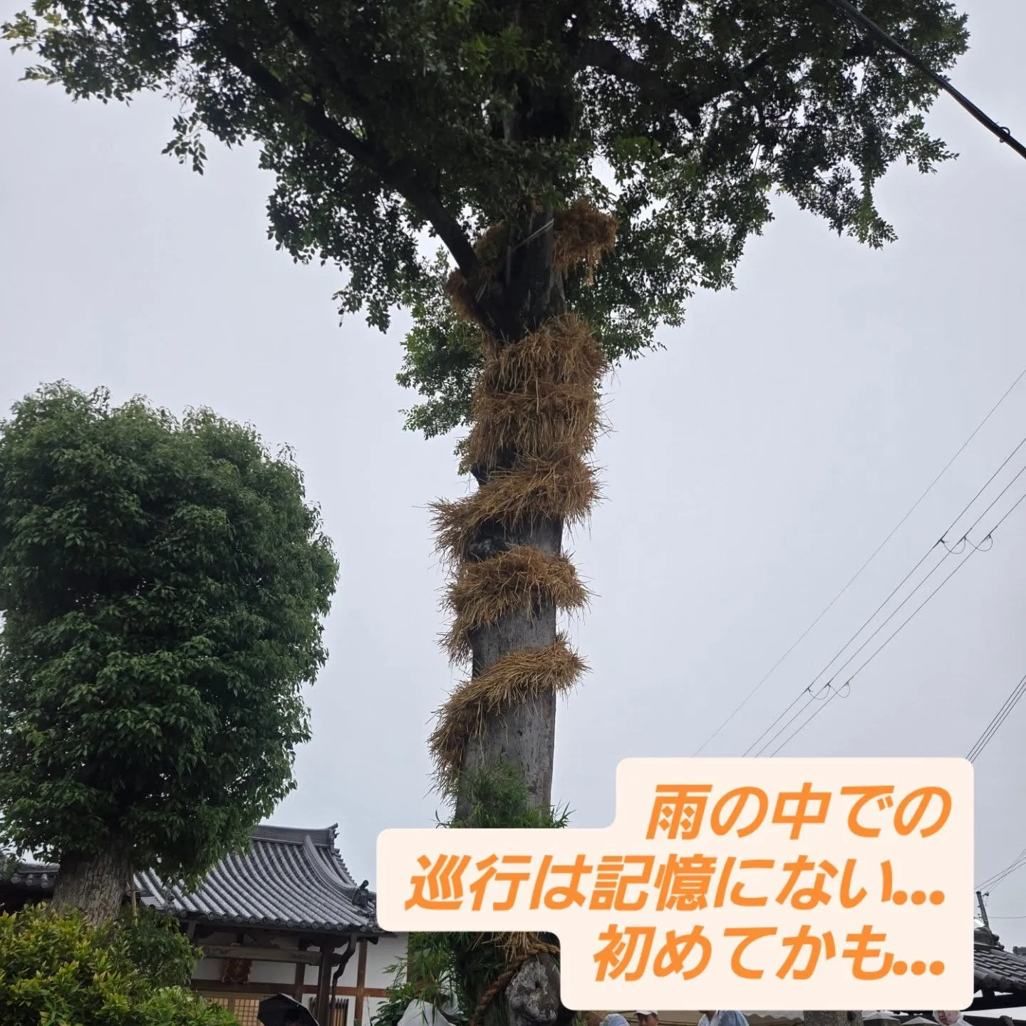 子供の成長と五穀豊穣を祈願❗