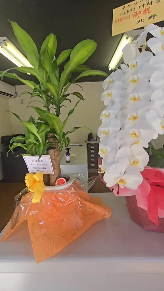 事務所の彩り華やかに🥀